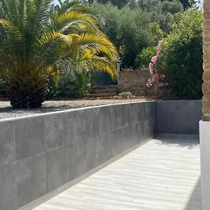 Palmier , Sanary-sur-Mer France